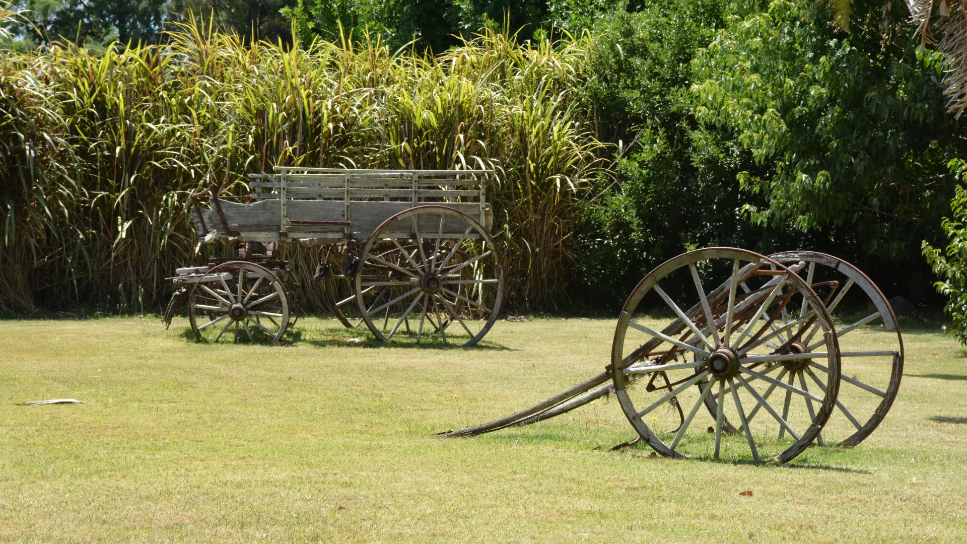 Casa Campo 1931, alojamiento rural en Colonia del Sacramento, Uruguay